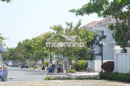 Cho thuê villa đẹp, hiện đại - 3