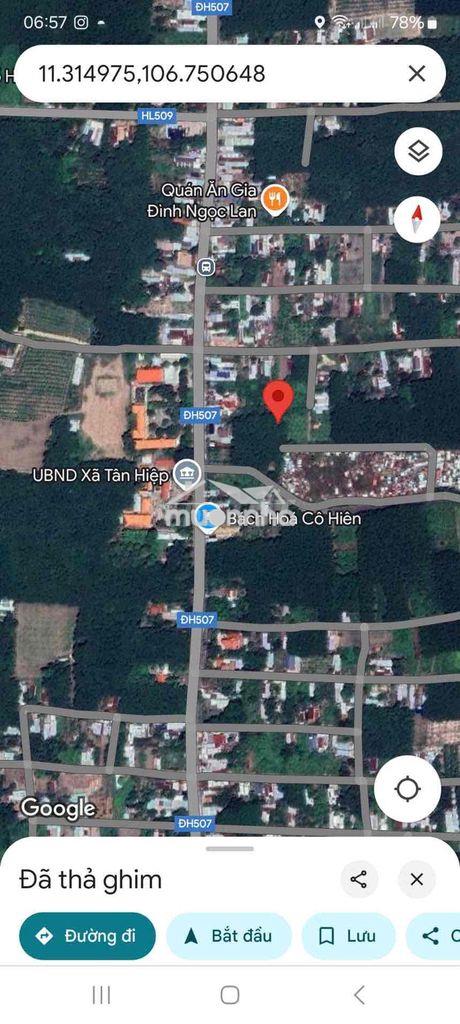 Đất vườn 2500m2 có 50m thổ cư ở phú giáo bình dương - 3