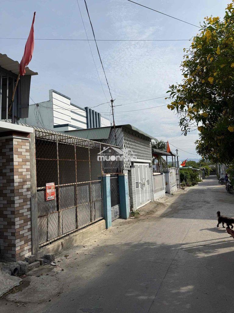 Kẹt tiền bán gấp nhà cấp 4 - 2