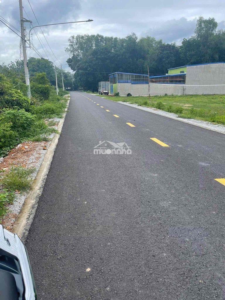 Nhà xưởng giá quá hạt dẻ