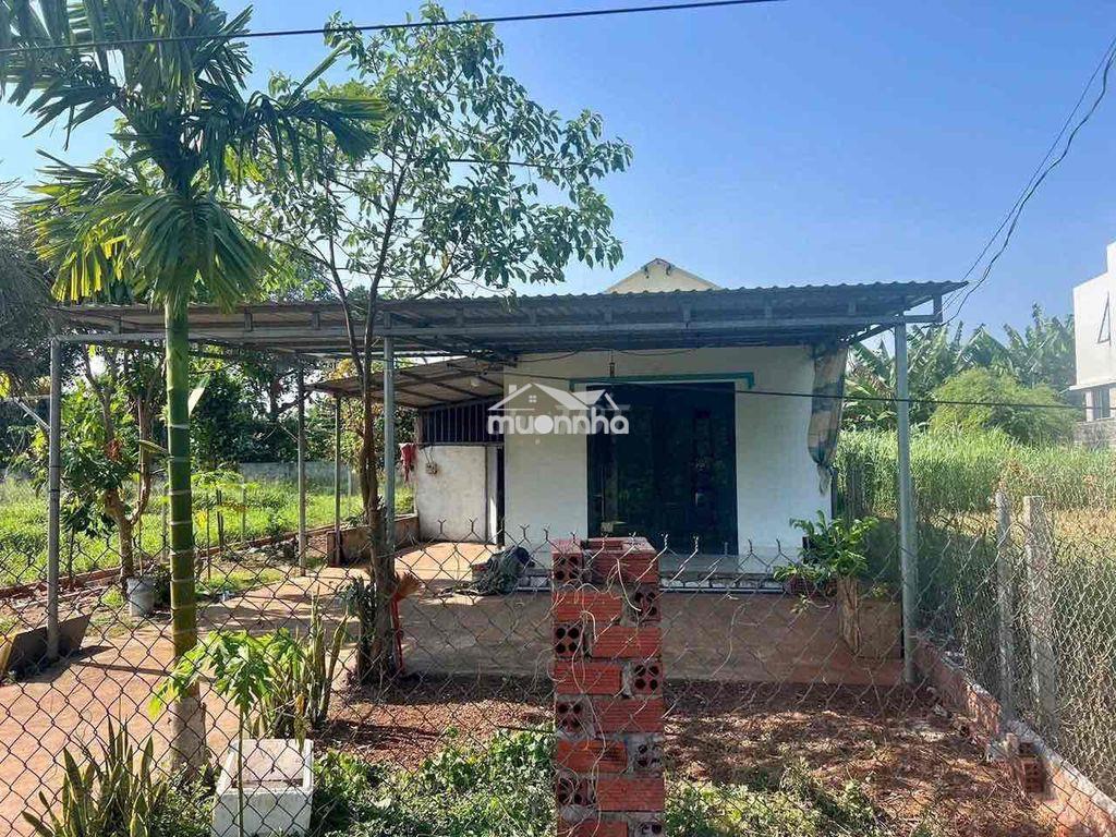 Bán gấp mảnh đất sẵn nhà 🏡 - 2