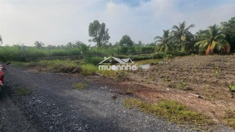 Bán 1.000 m² đất kênh 9 (võ văn kiệt) tân nhựt. giá 5,5 tỷ