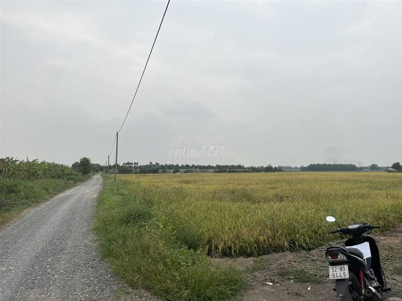 Bán 3,0ha đất đường kênh 10, lê minh xuân sát vành đai 3