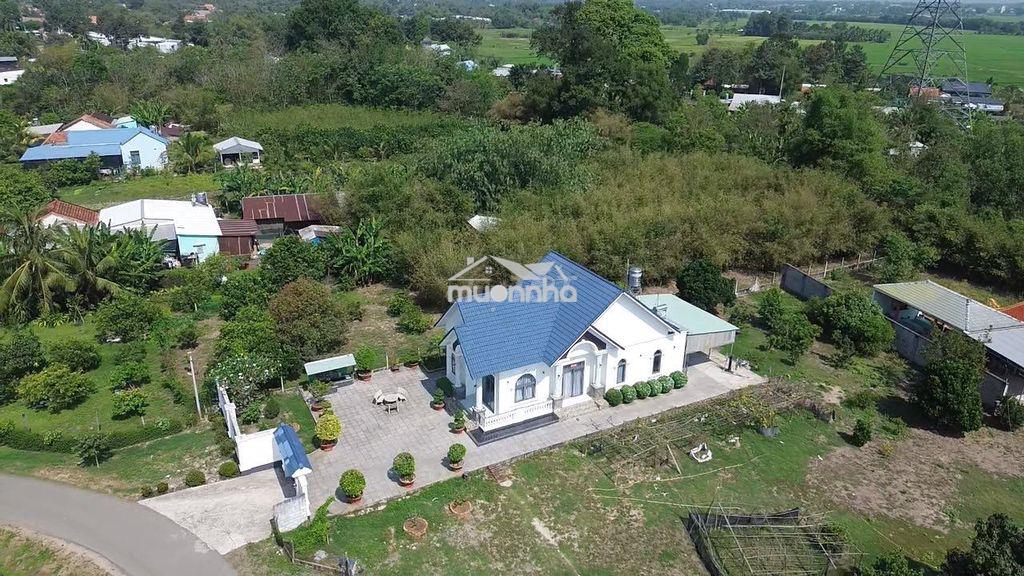 🔥 Đất cây trôm mỹ khánh – gần ql22 – 500m² – chỉ 990 triệu 🔥 - 2
