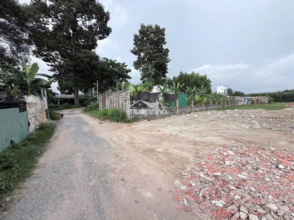 Đất nền shr thổ cư ngay công an phường tân triều sát chợ tân bình - 3