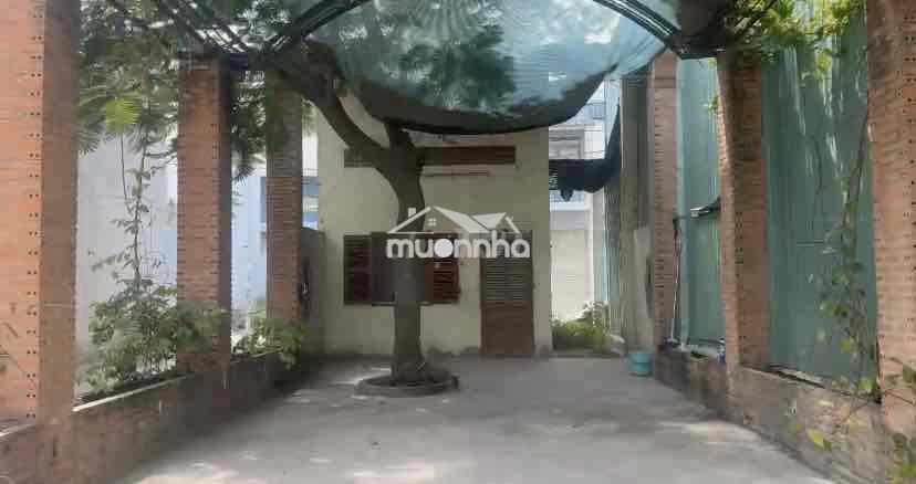Cho thuê mặt bằng kinh doanh quán cà phê - 3