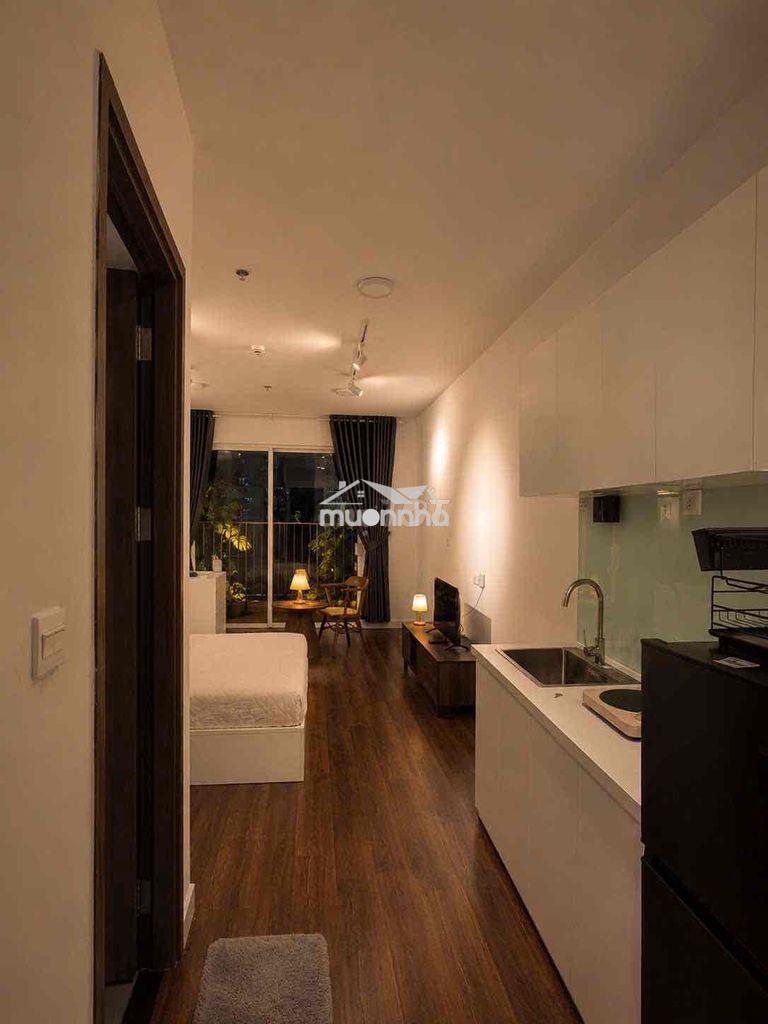 Cho thuê căn hộ sunrise riverside 1pn 1wc full nt 35m2 quận7 10tr500 - 2