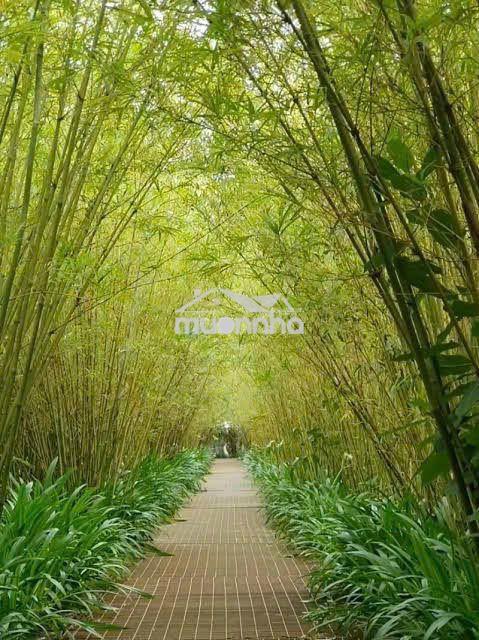 Bán căn hộ vinhome grand park, 59m2, 2pn giá *** - 2