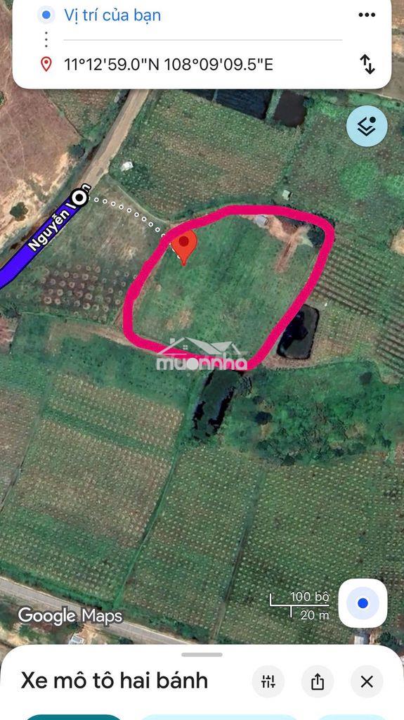 Bán nhanh đất ở hàm thuận bắc, phan thiết