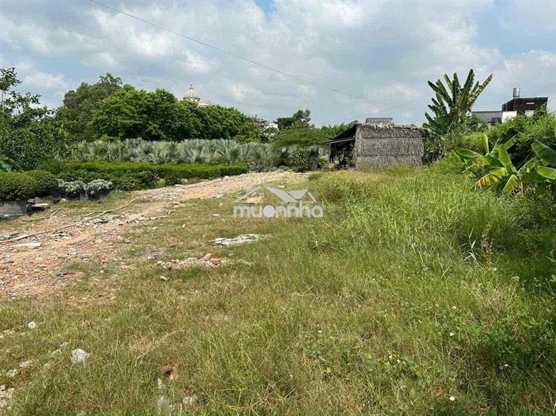 Bán đất trung tâm hóc môn