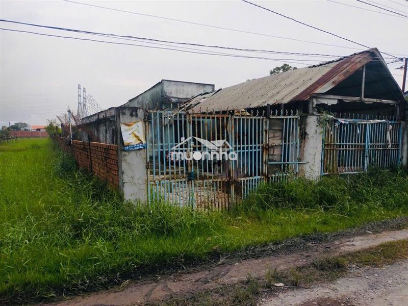 Bán đất tại đức hoà thượng, 4tỷ có thương lượng, 531m2, pháp lý đầy đủ