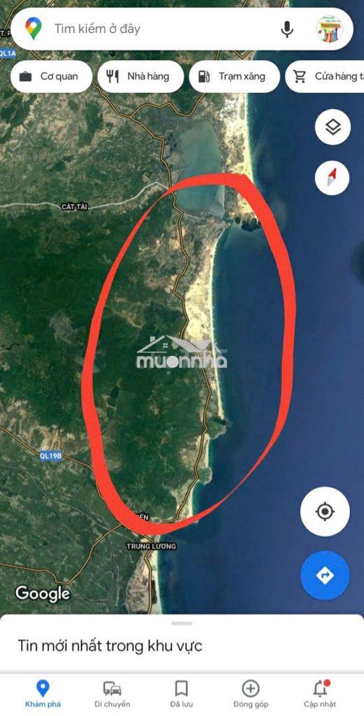 Chính chủ bán đất thổ cư sát biển hoài nhơn đông chỉ 50m đi bộ ra biển - 4