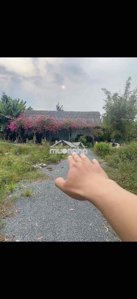 Nhà vườn 3000m2 ( 75m x 40m ) tam đa, q.9