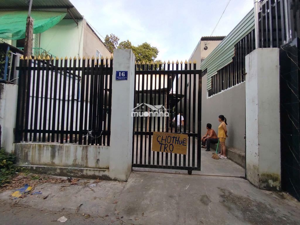 Phòng trọ giá rẻ , p tân an, thủ dầu 1  - Ảnh 2