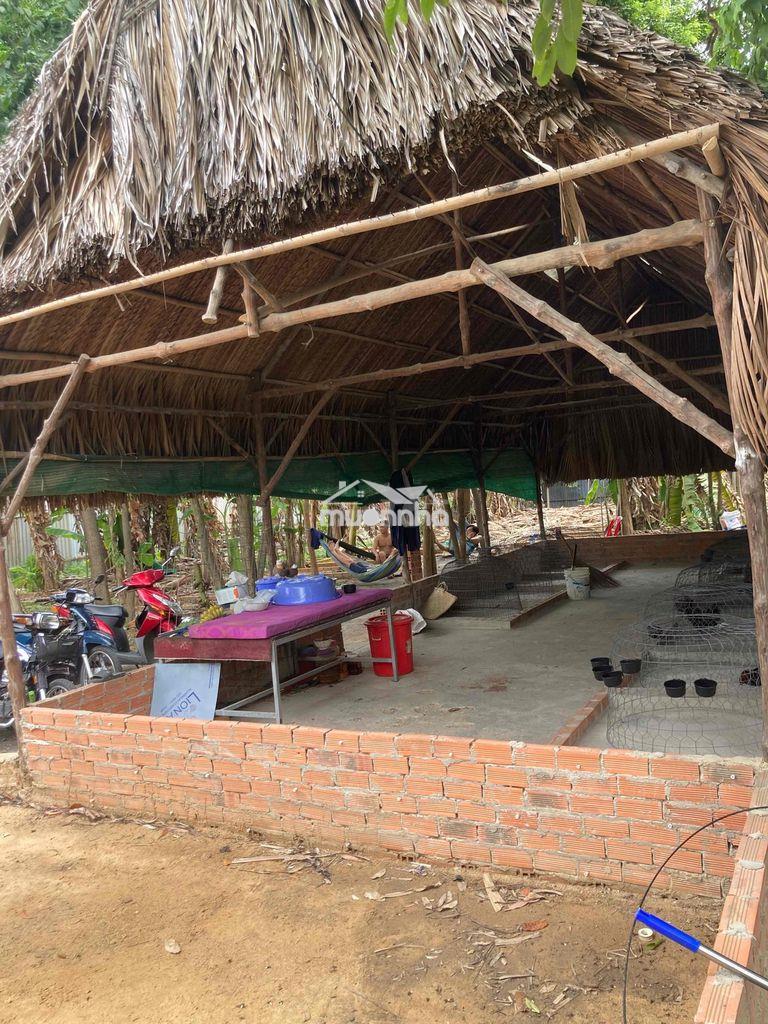 Cho thuê nhà và đất - 3