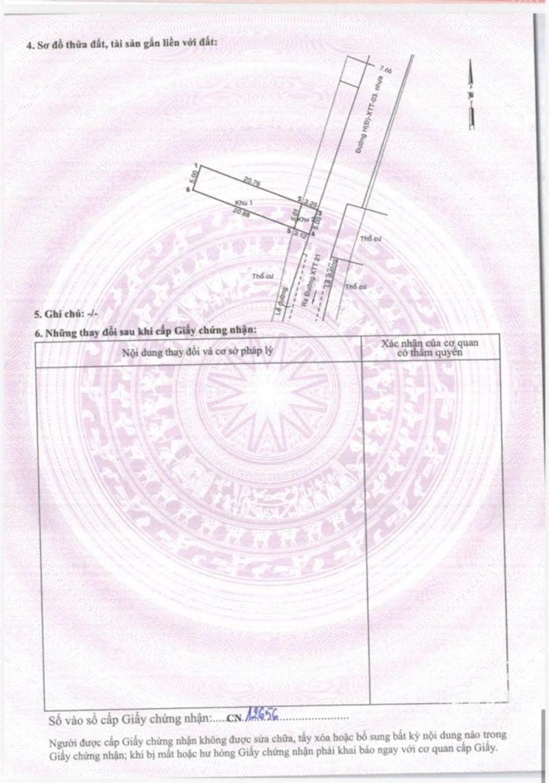 5 lô đất xuân thới thượng 20, bà điêm-hóc môn ( 5×24) 100m² full thổ  - Ảnh 4