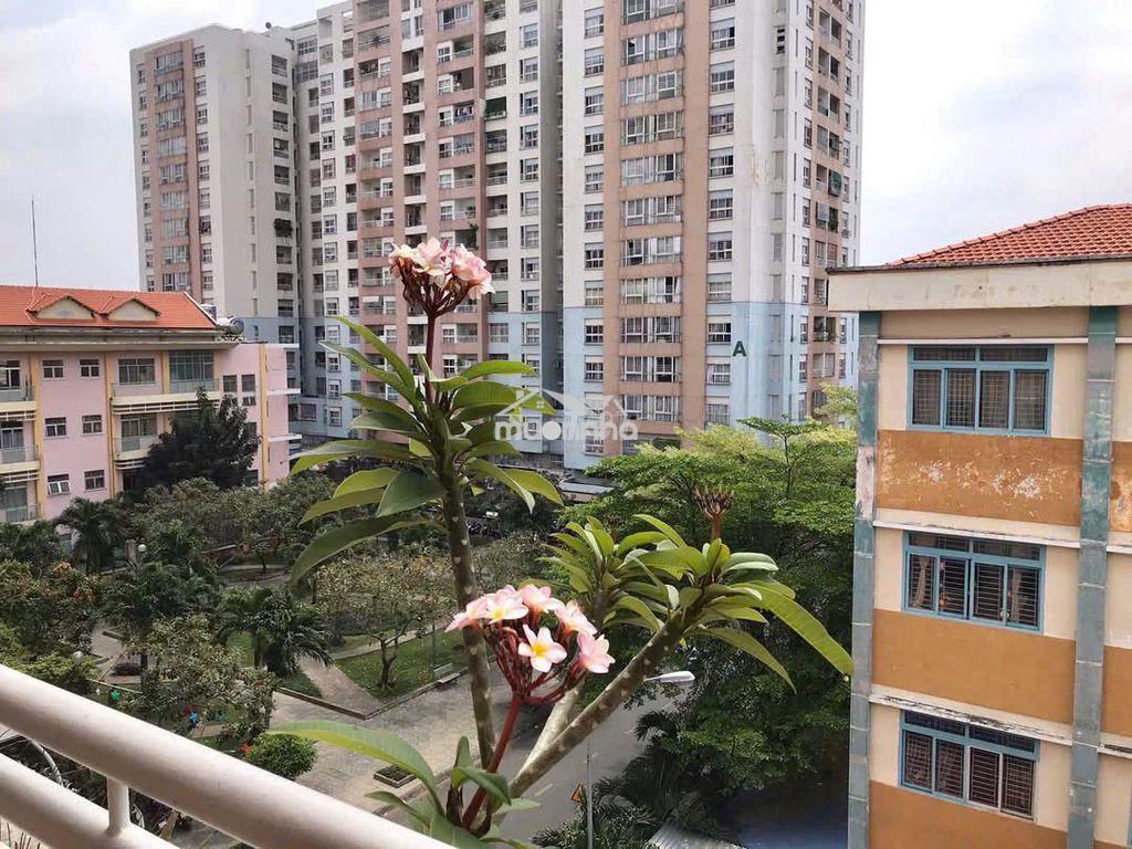 ❤️ Cho thuê căn hộ bàu cát 2 – view sân bay – dọn vào ở ngay ✨ - Ảnh 2
