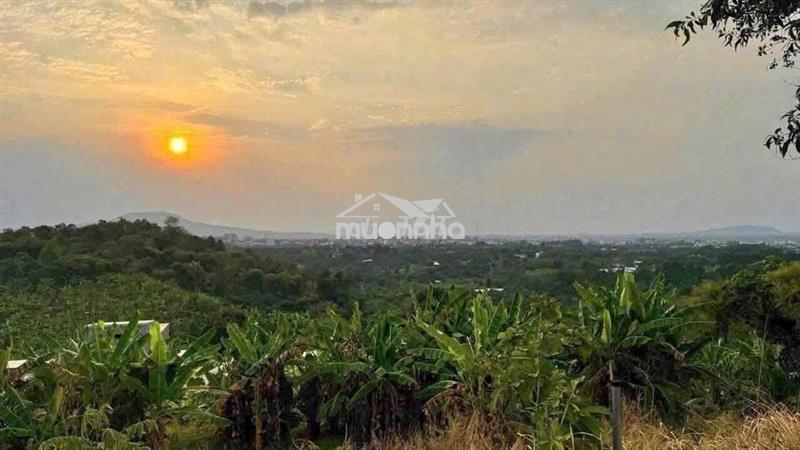🔥 Chỉ với 1.3 tỷ nhận ngay 1.300m² đất vườn ở trung tâm gia kiệm