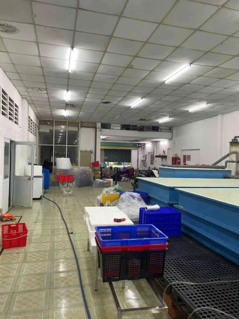 Gần 110m² full thổ cư – ngang 8m bề thế – hẻm nhựa 7m – gần tô ngọc vân – 7.5 tỷ - Ảnh 2