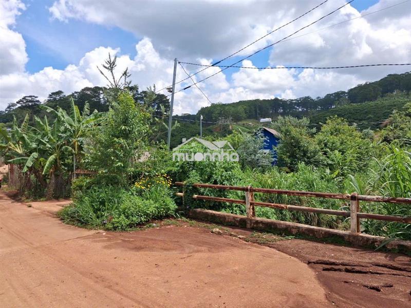 Bán đất vườn café view suối , p xuân trường – đl (sổ hồng chính chủ )