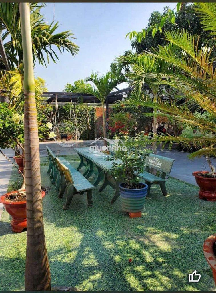 🏘️ Nhà sân vườn fun nội thất, ng thị ngâu,gần trịnh thị miếng, ttt 🏘️ - Ảnh 2