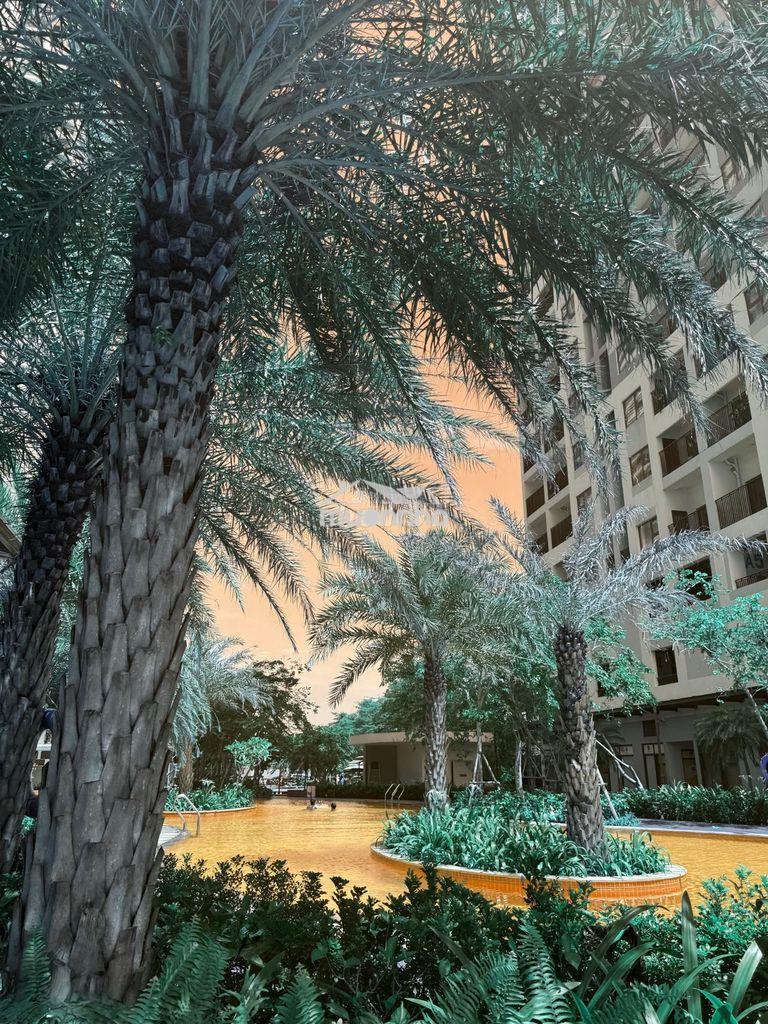 Cho thuê căn hộ charm city dĩ an, 97m2, 3pn, sân vườn, full nội thất