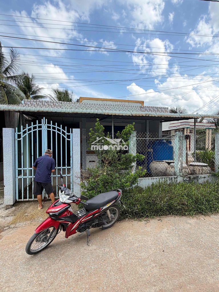 Bán nhà cấp 4 500 triệu 100 thổ cư tân phú đông tiền giang - Ảnh 3