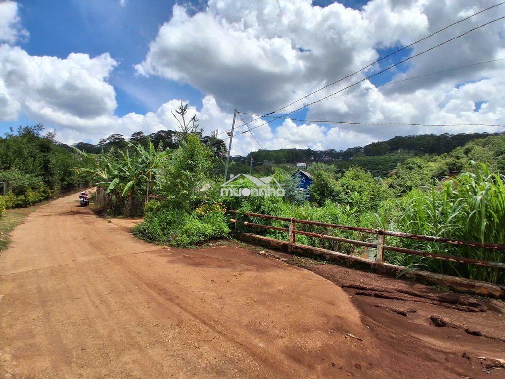 Bán đất vườn café view suối , p xuân trường – đl (sổ hồng chính chủ ) - 2