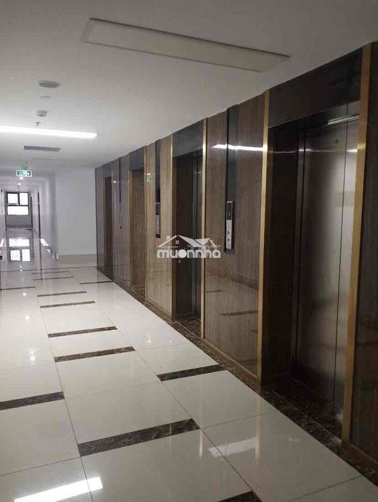 Cần pass gấp ở phòng trọ chung cư goldora plaza- gần đh tôn đức thắng - Ảnh 3