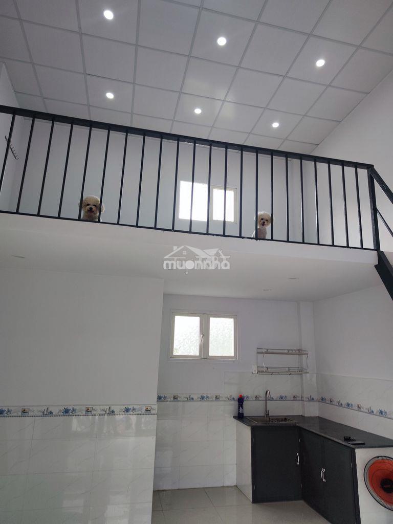 Nhà riêng biệt cần cho ở ghép - Ảnh 3