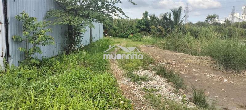 Bán đất vườn phạm hữu lầu