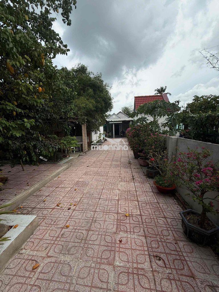 Chủ ngộp bán gấp nhà vườn 287m² thuận an, giá tốt 3 tỉ 2 - Ảnh 3