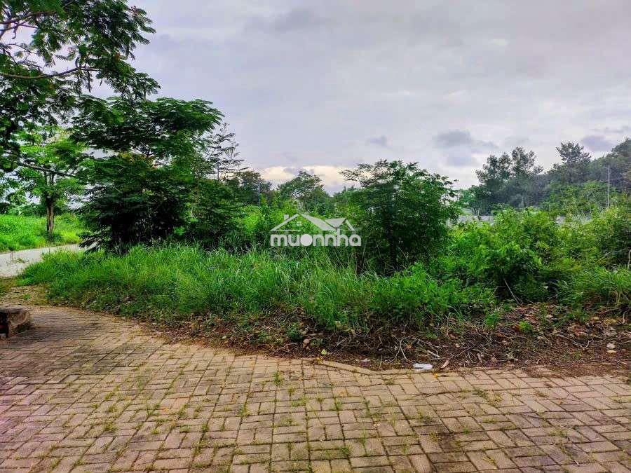 Bán đất nền biệt thự kđt bình nguyên -318m2 -21 tỷ - 4