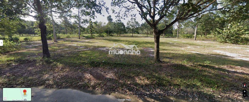 🔥 Đất 231,2m² – đất ở lâu dài | giá 3,77 tỷ - 2