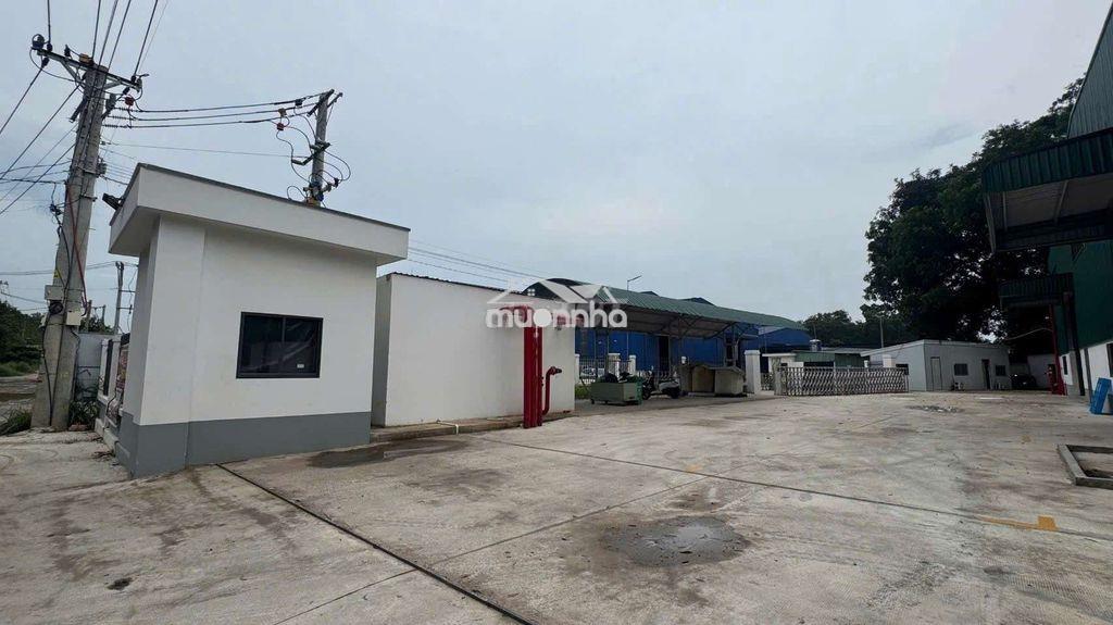 Cho thuê xưởng tân uyên bình dương - Ảnh 2