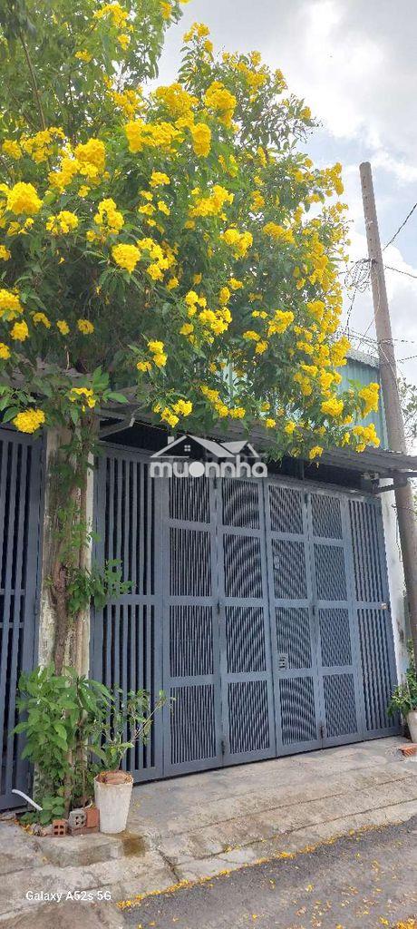 Cho thuê nhà xã bình hưng hẻm xe hơi 90m2 - Ảnh 4