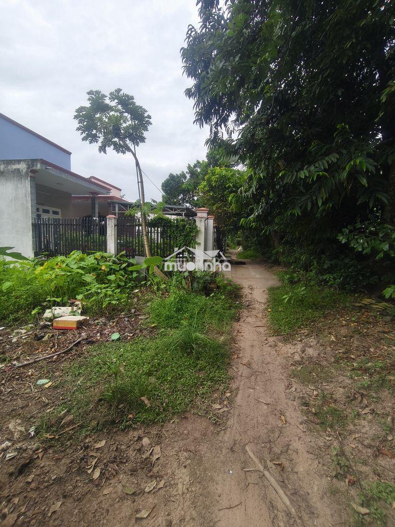 Đất 5*28 nguyễn chí thanh/ bình nhâm - Ảnh 2