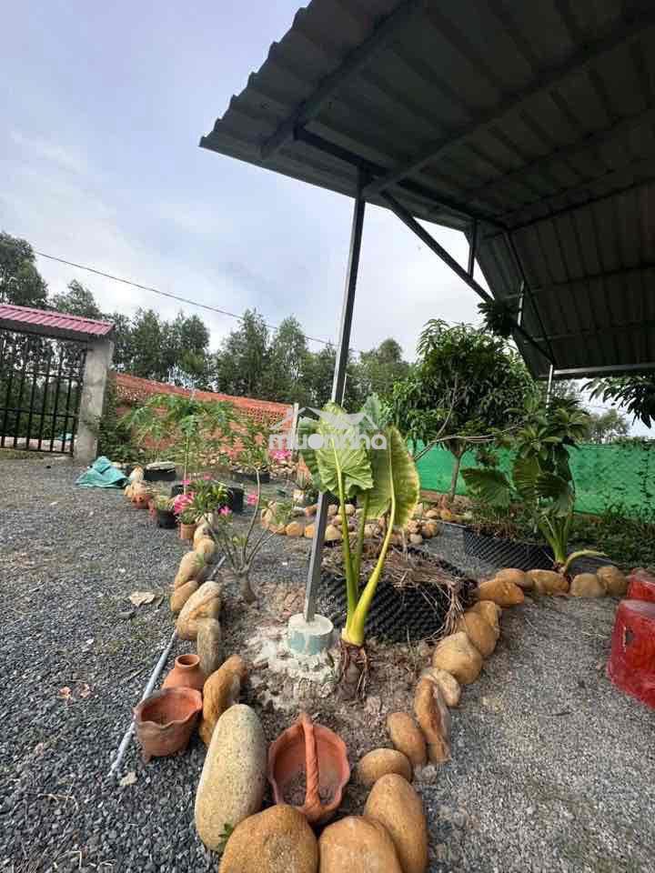Bán nhà vườn 1000m đức huệ, long an - 4