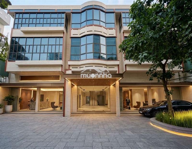 Cho thuê nguyên căn 12m x 30m trệt 2 lầu trống