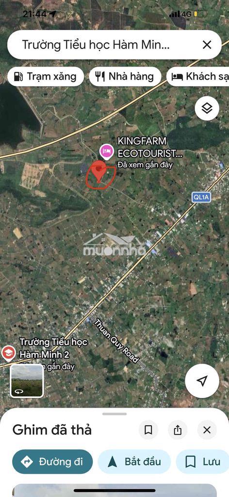 1000m2 hàm minh giá 450triệu (gần taku-bưng thị sungroup) - 4