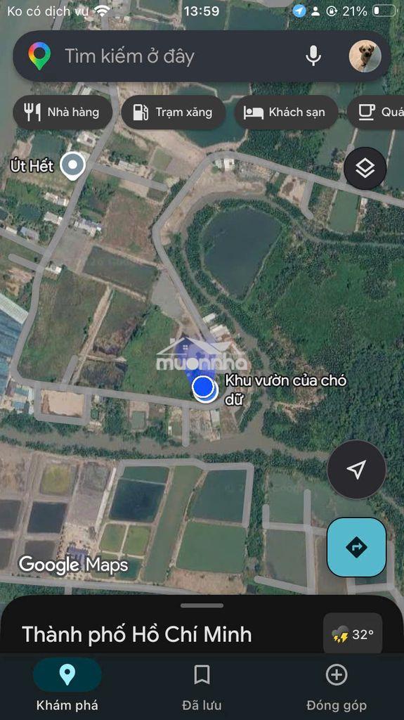 Nhà vườn cần giờ - tp.hcm - Ảnh 3