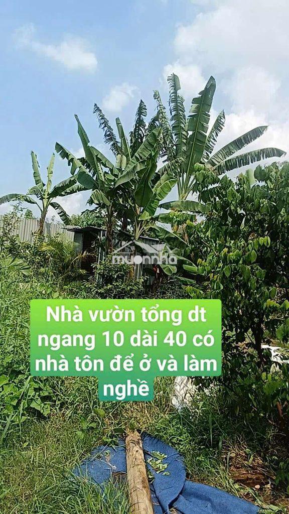 Nhà vườn  400m nhà + điện 3 pha  đường kênh trung ương  vĩnh lộc bv - Ảnh 2