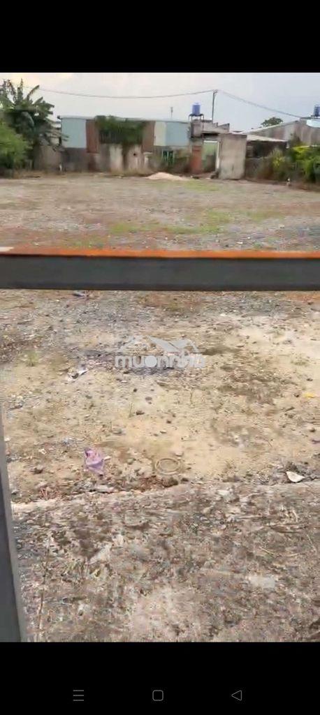 Cho thuê đất công 1299m có nhà ở + đường kênh trung ương vĩnh lộc b - Ảnh 3