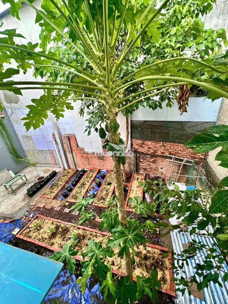 Nhà nguyên căn có sân vườn trồng rau nuôi gà - bình thạnh - tổng 160m²