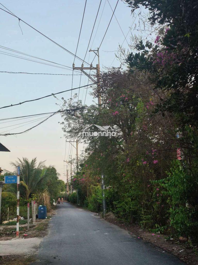 Nhà mới - Ảnh 3