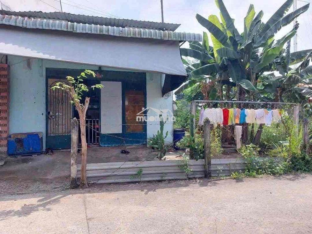 10x17 hem nguyen kim cuong - Ảnh 4