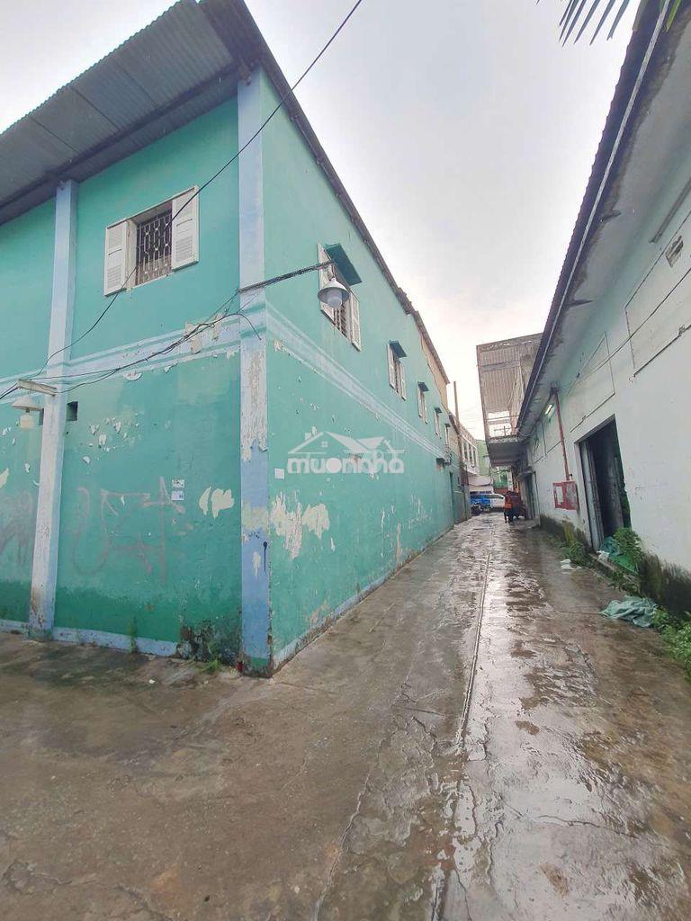 60m2 lô góc xe tải, đất giáp q10 giá siêu rẻ - Ảnh 3