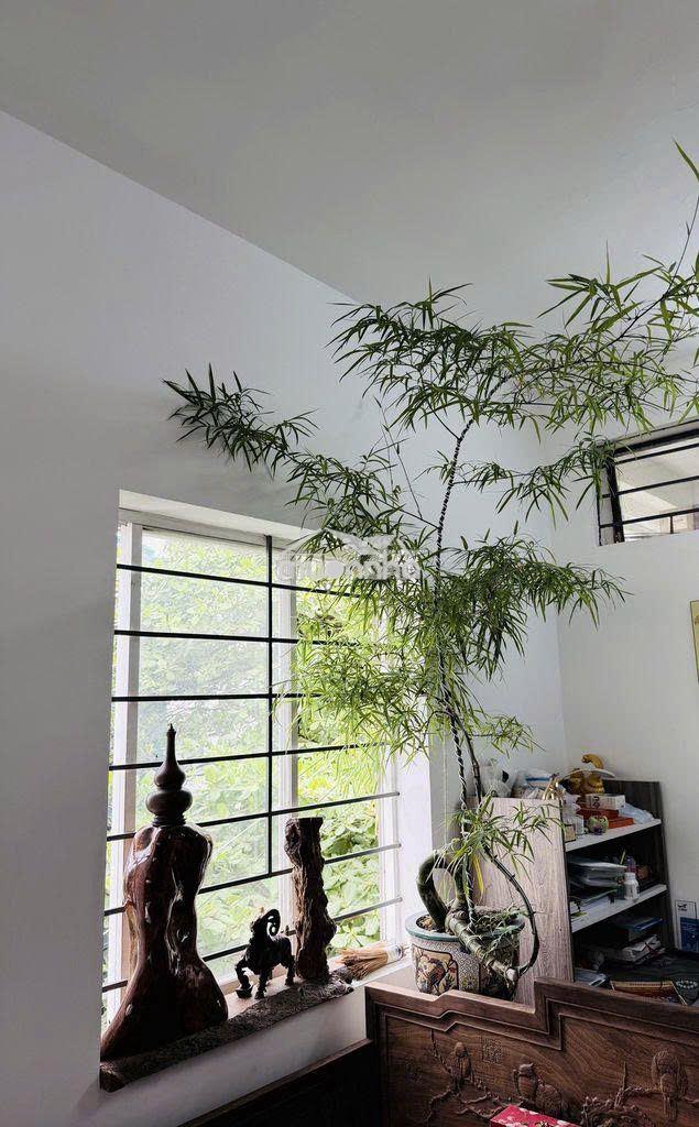 Bán chung cư trần quang diệu 45m2 - 1pn- đủ nội thất - Ảnh 2