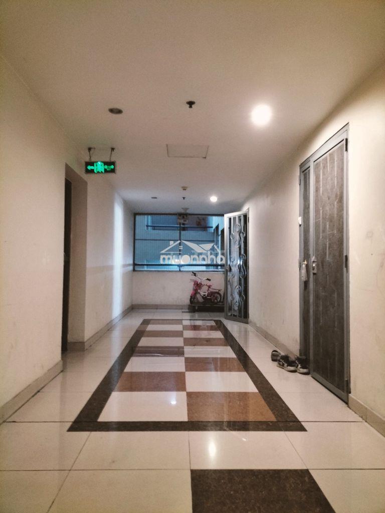 Chính chủ cho thuê nhanh cc phúc yên tân bình – 74m² (2pn - 2wc) – 9tr - Ảnh 4