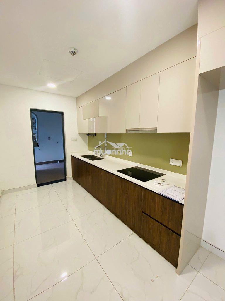Cho thuê nhiều căn diamond,emerald,ruby celadon city quận tân phú - Ảnh 2